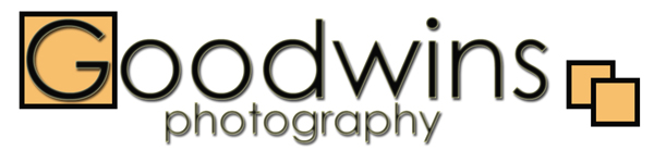 The Goodwin Studio
